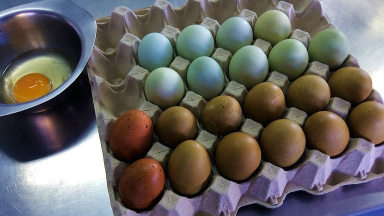 Qué son los huevos azules
