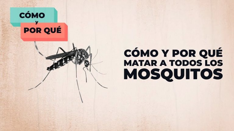 Que mata a los mosquitos