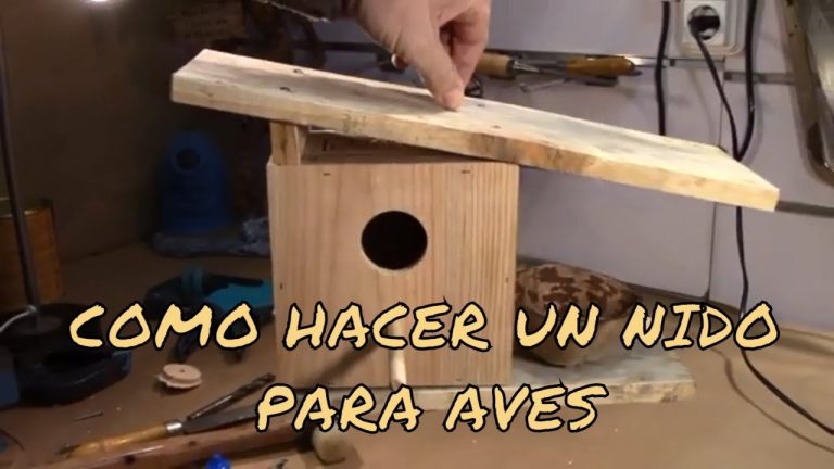 Cómo construir cajas nido de pavo