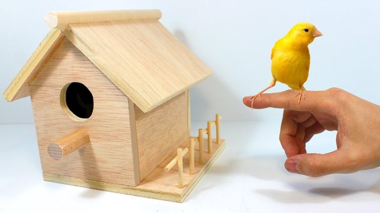 Cómo teñir la madera para un juguete para pájaros