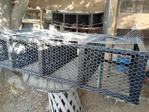 Cómo construir jaulas de conejos comerciales
