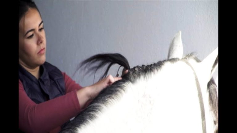 Cómo trenzar la crin y la cola de un caballo con cinta